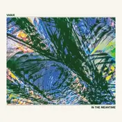 The Vague - In The Meantime