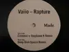 12'' - Vaiio - Rapture