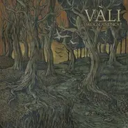 Vàli - SKOGSLANDSKAP