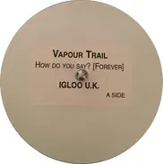 Vapour Trail - How Do You Say? (Forever)