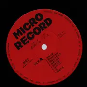 LP - Varios Artists - Touching Summer - No OBI
