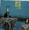 LP - Varios Artists - World's wirld birds - Africa - No OBI