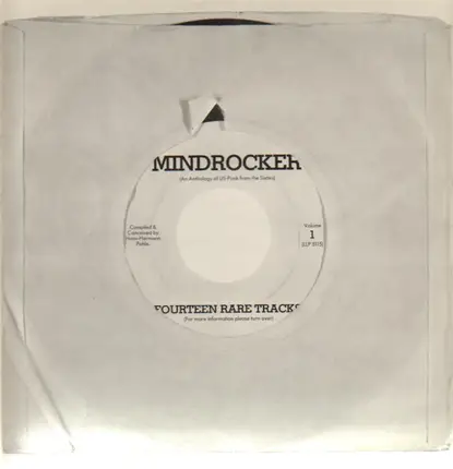 The Brogues, The Knickerbockers, The Seeds... - Mindrocker Volume 1