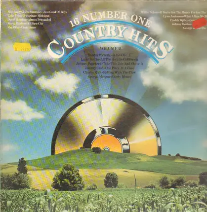 Tammy Wynette, Ray Price, Marty Robbins, a.o. - 16 Number One Country Hits Volume 2