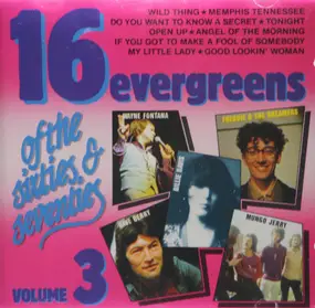 The Troggs - 16 Evergreens Of The Sixties & Seventies Volume 3