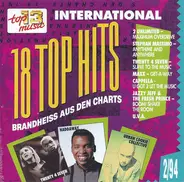 Various - 18 Top Hits International 2/94