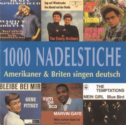 Marvin Gaye / Johnny Cash / The Beach Boys / a.o. - 1000 Nadelstiche