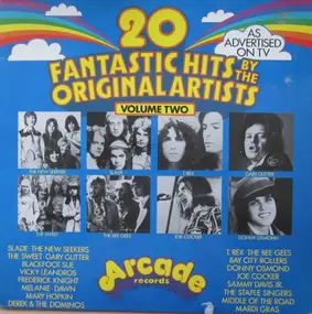 The New Seekers - 20 Fantastic Hits Volume Two