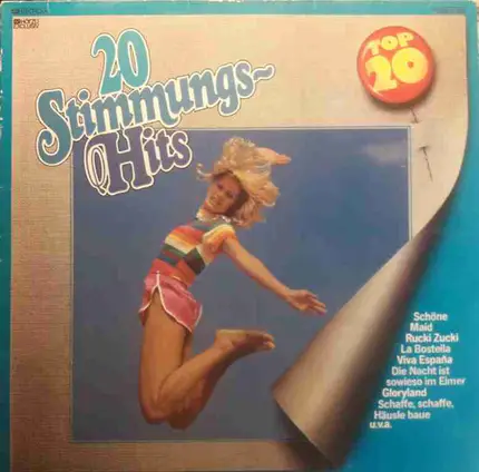 Ray Miller a.o. - 20 Stimmungs-Hits