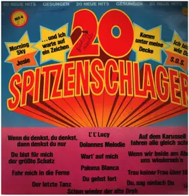 Various Artists - 20 Spitzenschlager No 4