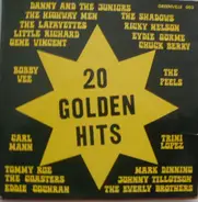 Bobby Vee, The Shadows, Chuck Berry - 20 Golden Hits