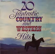 LP - Hank Snow, Justin Tubb, a.o. - 20 Fantastic Country And Western Hits