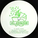 12inch Vinyl Single - Various - 20in20b