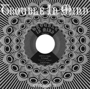 Ty Segall - 4-Way Covers Split