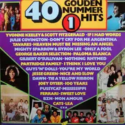 Double LP - Pop Compilation - 40 Gouden Nummer 1 Hits