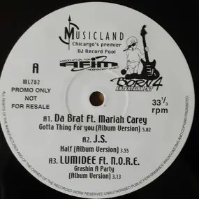 Various Artists - Musicland 782