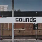 the unicorns - Musikexpress 96 - Sounds Now!
