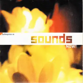 Andrew Bird - Musikexpress 98 - Sounds Now!