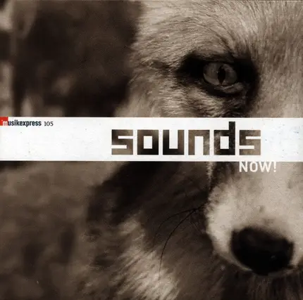 Death Cab For Cutie / Super Furry Animals / T.Raumschmiere a.o. - Musikexpress 105 - Sounds Now!