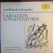 Schubert / Beethoven / Prokofieff a.o. - Musikkunde In Beispielen Variation - Sonatenform