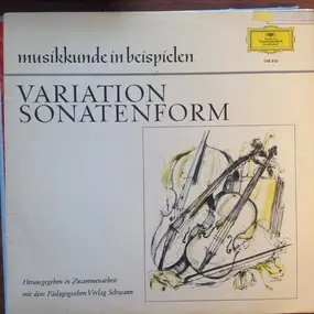 Franz Schubert - Musikkunde In Beispielen Variation - Sonatenform