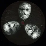 Hector Oaks - Mutewax 02