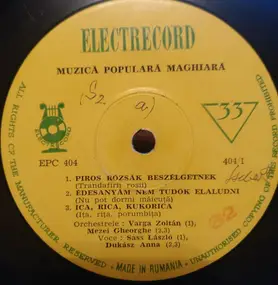 Various Artists - Muzică Populară Maghiară
