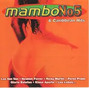 Ricky Martin, Joe King, Los Lobos a.o. - Mambo No5 (&Caribbean Hits)