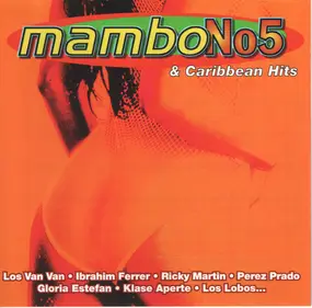 Ricky Martin - Mambo No5 (&Caribbean Hits)