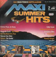 Eddy Grant / Blue System a.o. - Maxi Summer Hits