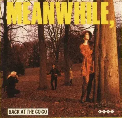 Ventures, Jimmy McGriff, Irma Thomas... - Meanwhile, Back At The Go Go