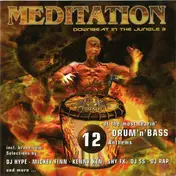 Shy FX - Meditation (Downbeat In The Jungle 3)