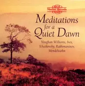 WILLIAMS - Meditations For A Quiet Dawn