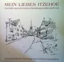 LP - Künstler Aus Dem Kreis Steinburg - Mein Liebes Itzehoe - Künstler Aus Dem Kreis Steinburg Stellen Sich Vor
