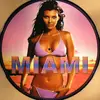 Picture LP - Mash-up Compilation, Ricky Martin, Safri Duo - Miami Vol 1