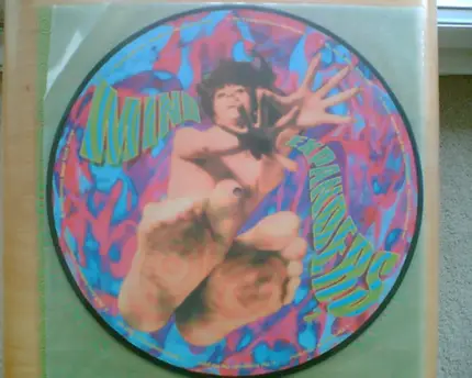 The Scottmen, The Dynatones, The Flying Guitars a.o. - Mindexpanders 2 (In Search Of The Exstatic Kinetic Bombastic Multi-Freaked-Up Outer-Spacial Groove)