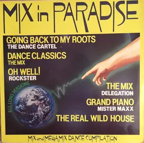 Various Artists - Mix In Paradise