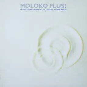 The Echo - Moloko Plus!