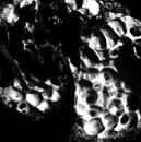 12inch Vinyl Single - Sirio Gry J, Artik, Unhuman - Monolith Records 000