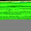 CD - Various - Mr. Tambourine Man (21 Versions)