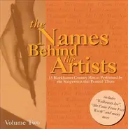 Pat Alger, Dave Loggins, Greg Swint - Names Behind The Artists Vol. 2