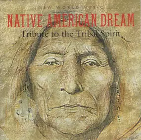 Medwyn Goodall - Native American Dream - Tribute To The Tribal Spirit
