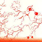 CD - Projekt Hertz, Freudian Slippers, Ban Ham - Nattskift - Digipak