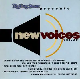 Charles Wilp / Mr Scruff / Mo' Horizons a.o. - New Voices Vol. 30