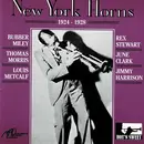 CD - The Texas Blues Destroyers, The Kansas City Five a.o. - New York Horns