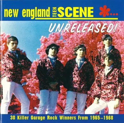 The Morning After / Innkeepers / Terry & The Telstars a.o. - New England Teen Scene... Unreleased!