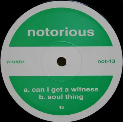 Siouxsie And The Banshees, Ellis-D, The Future Sound Of London, Eddie Amador - Notorious