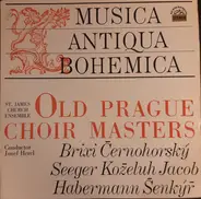 Brixi / Habermann / Černohorský a.o. - Old Prague Choir Masters