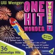 New Radicals, Matia Bazar, Patto a.o. - One Hit Wonder Vol.7