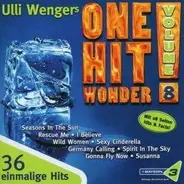 La Bionda, Nu Shooz, Santa Esmeralda a.o. - One Hit Wonder! Vol. 8